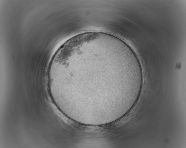 X0000115591056200912011459