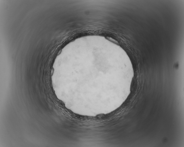 X0000115591057200912011458