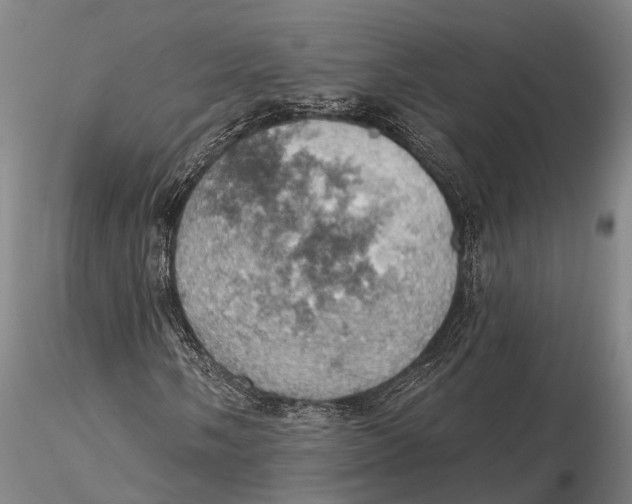 X0000115591058200912011458