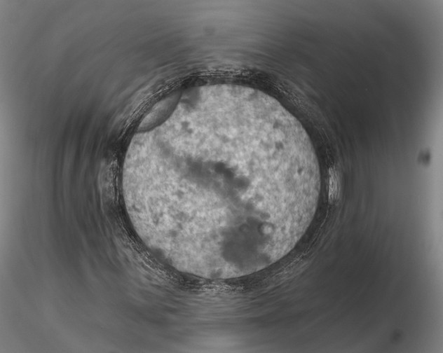 X0000115591059200912011458