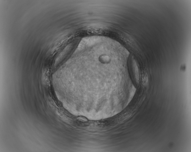 X0000115591060200912011458