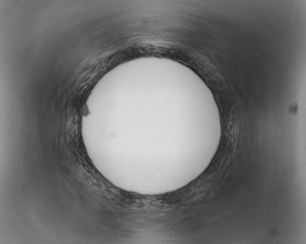 X0000115591061200912011458