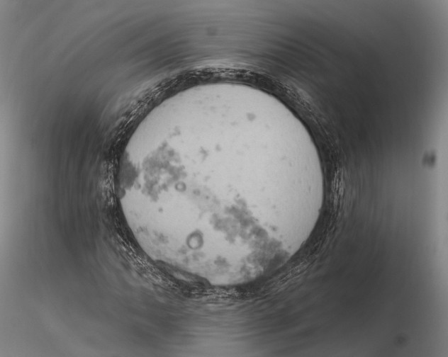 X0000115591062200912011458