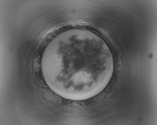X0000115591063200912011458
