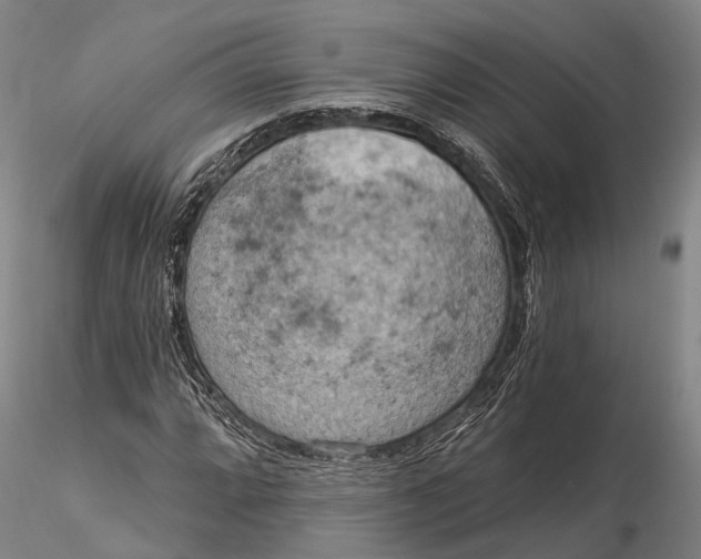 X0000115591064200912011458