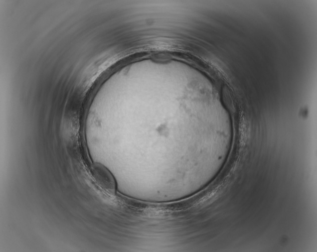 X0000115591065200912011458