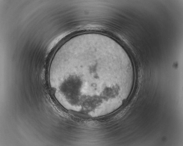 X0000115591066200912011458