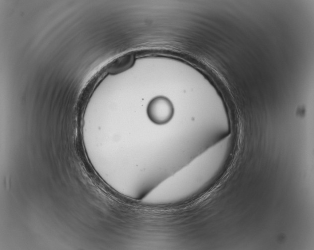 X0000115591069200912011457