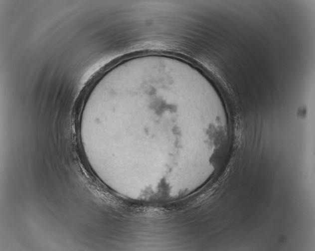 X0000115591070200912011457