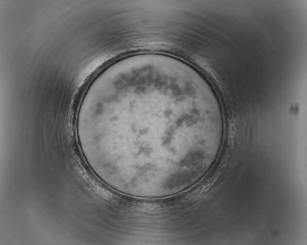 X0000115591071200912011457