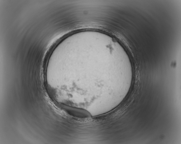 X0000115591072200912011457