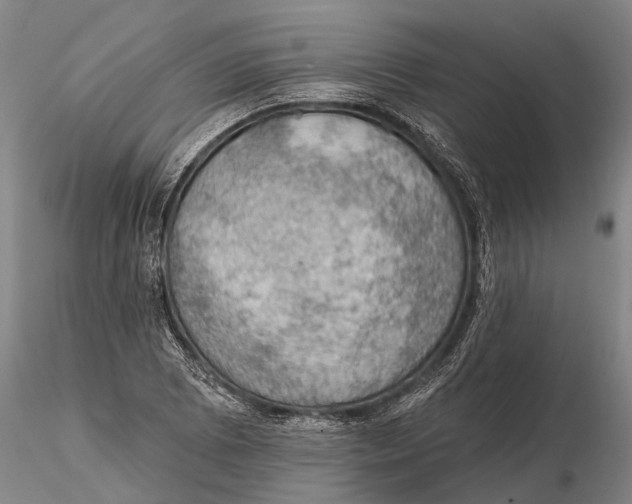 X0000115591073200912011457