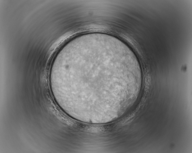 X0000115591074200912011457