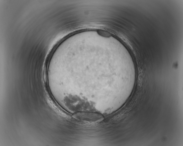 X0000115591080200912011457