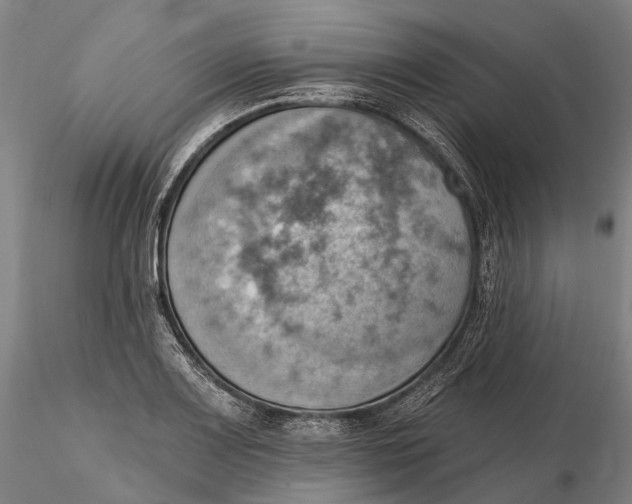 X0000115591083200912011457