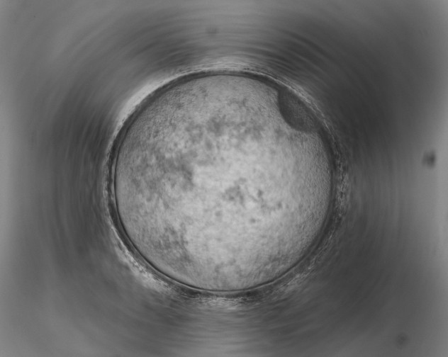 X0000115591086200912011457