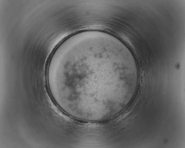 X0000115591087200912011457