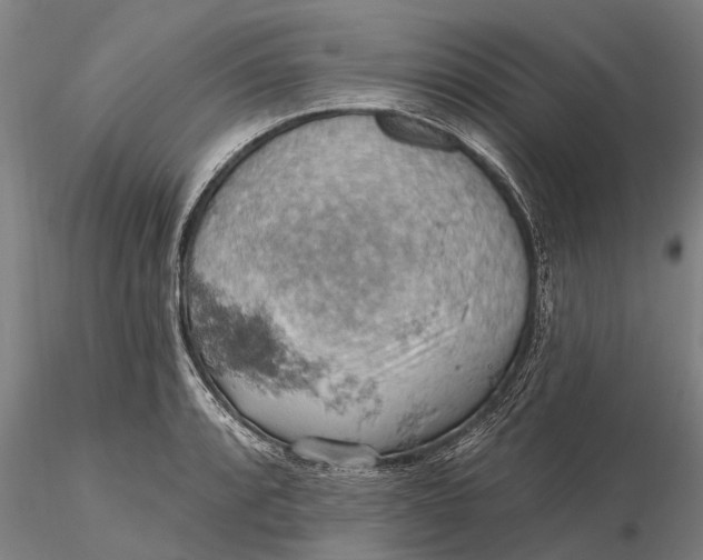 X0000115591088200912011457