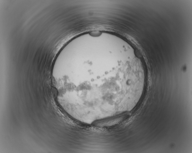 X0000115591089200912011457