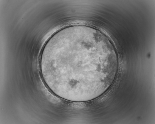 X0000115591090200912011457