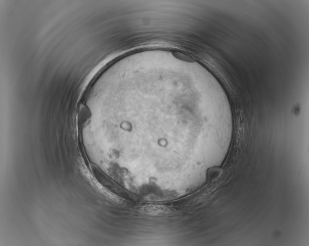 X0000115591092200912011457