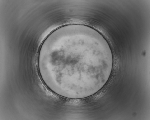 X0000115591094200912011457