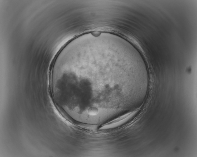 X0000115591095200912011457