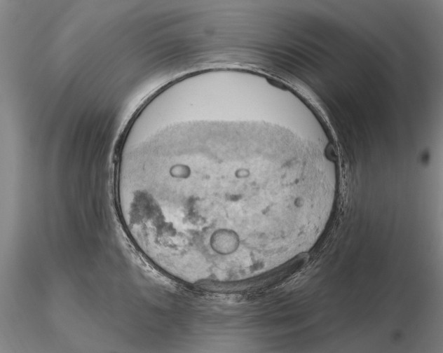 X0000115591096200912011457