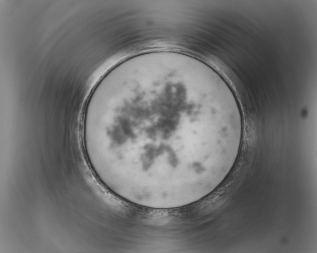 X0000115591098200912011457