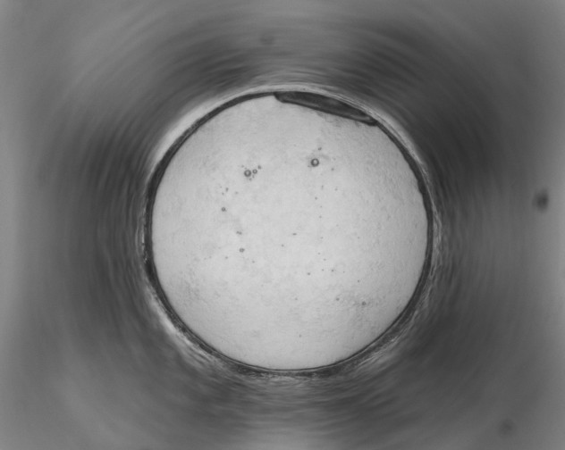X0000115591101200912011457