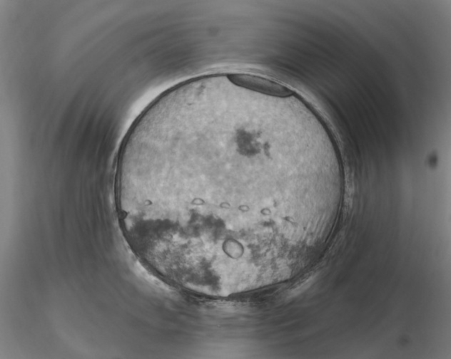 X0000115591102200912011457