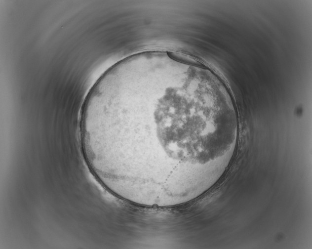 X0000115591103200912011457