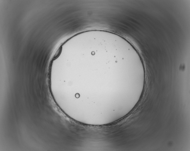 X0000115591104200912011457