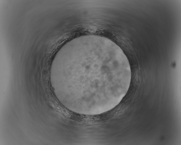X0000115591105200912011456