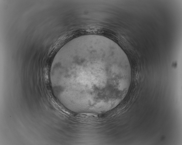 X0000115591106200912011456