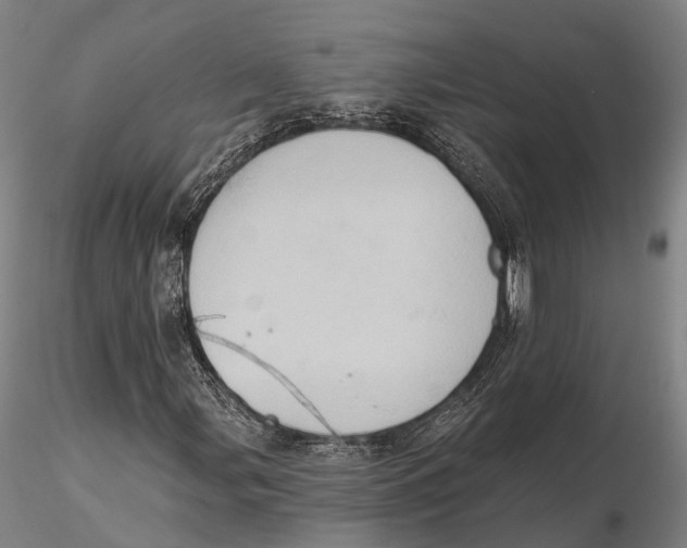 X0000115591107200912011456