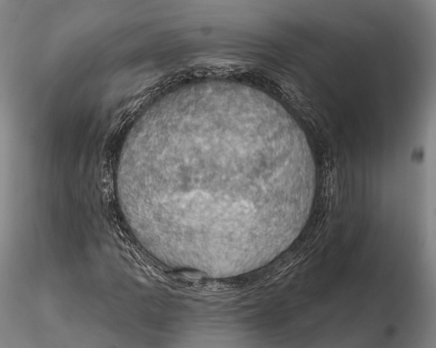 X0000115591109200912011456