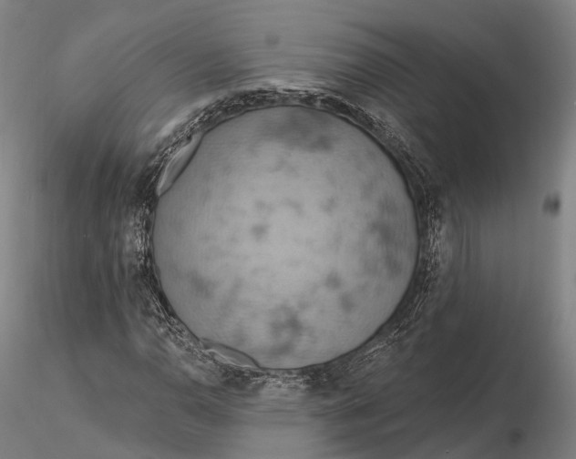 X0000115591110200912011456