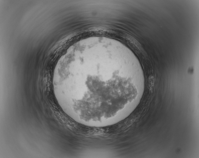 X0000115591111200912011456