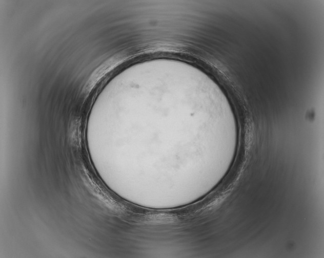 X0000115591113200912011456