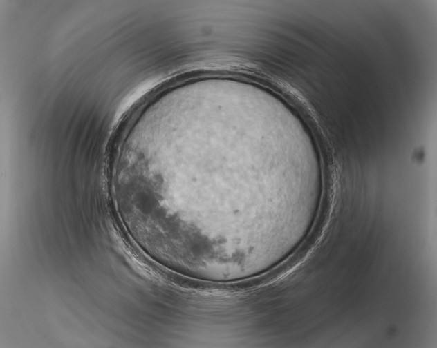X0000115591114200912011456