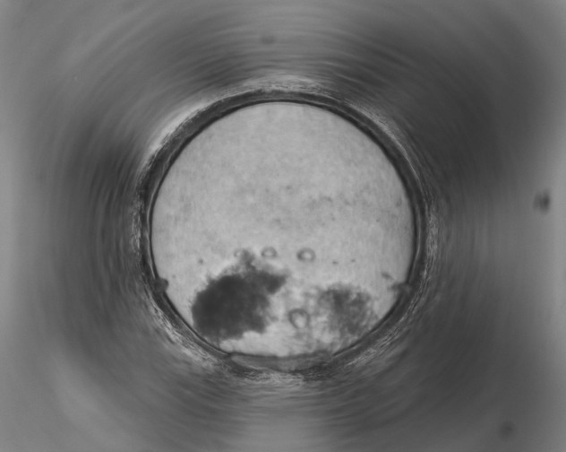 X0000115591115200912011456