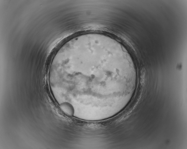 X0000115591117200912011456
