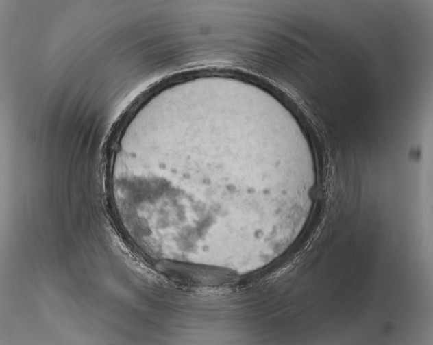 X0000115591118200912011456