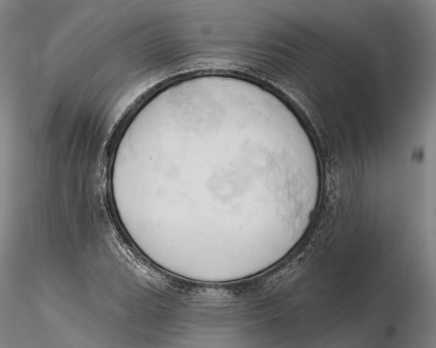 X0000115591119200912011456
