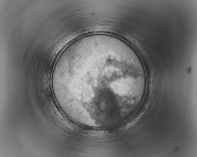 X0000115591121200912011456