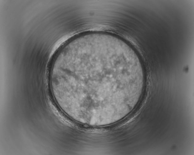 X0000115591122200912011456