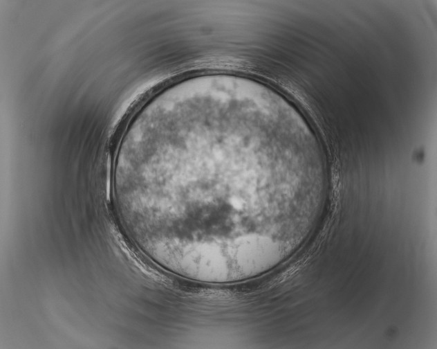 X0000115591123200912011456