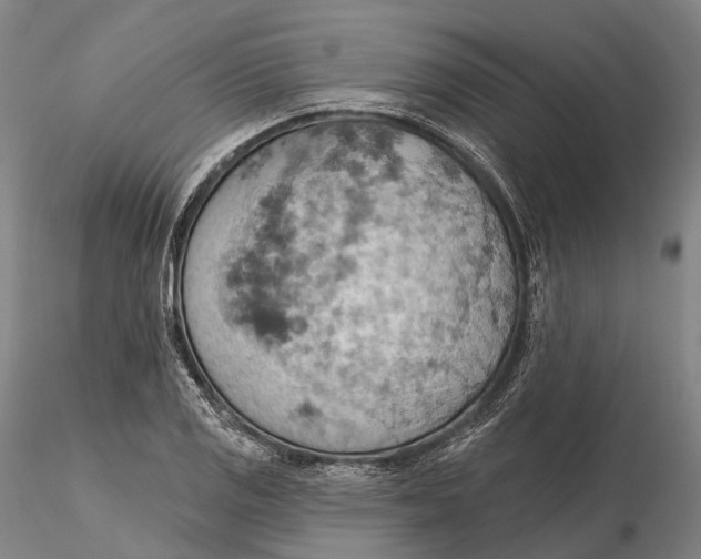 X0000115591125200912011456
