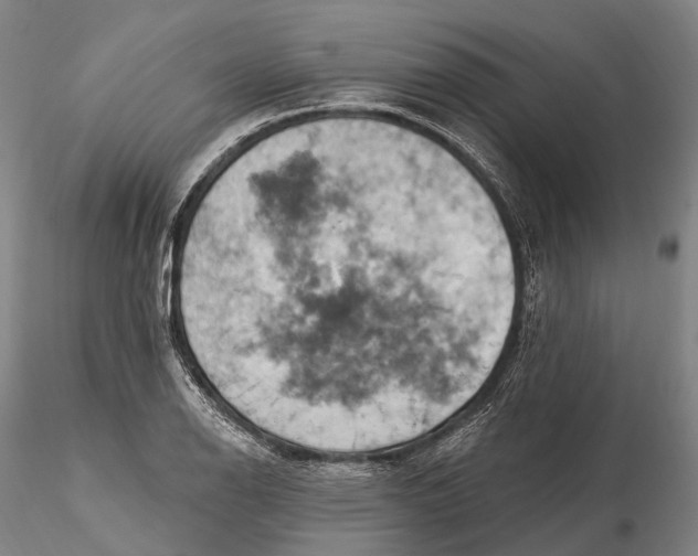 X0000115591126200912011456